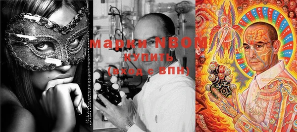 индика Алексин