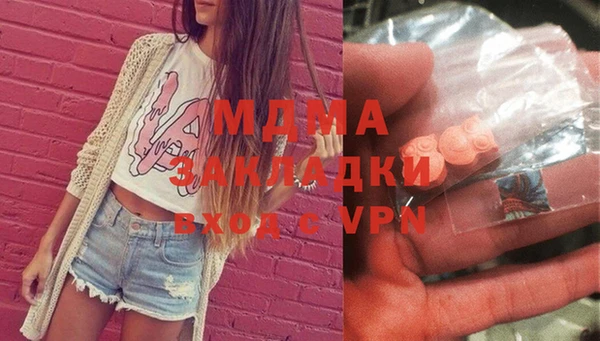 индика Алексин