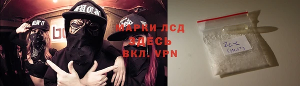 индика Алексин