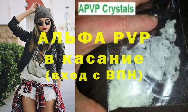 индика Алексин