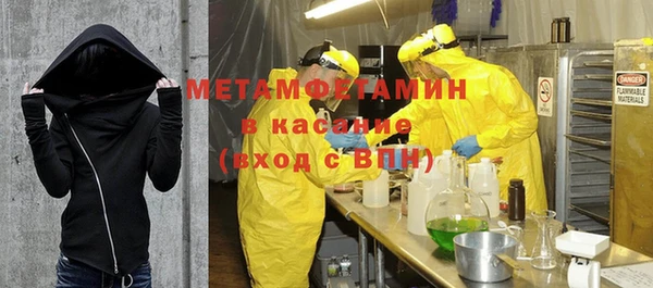 индика Алексин