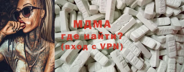 индика Алексин
