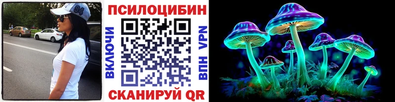 купить наркотики сайты  Мичуринск  Псилоцибиновые грибы Psilocybine cubensis 